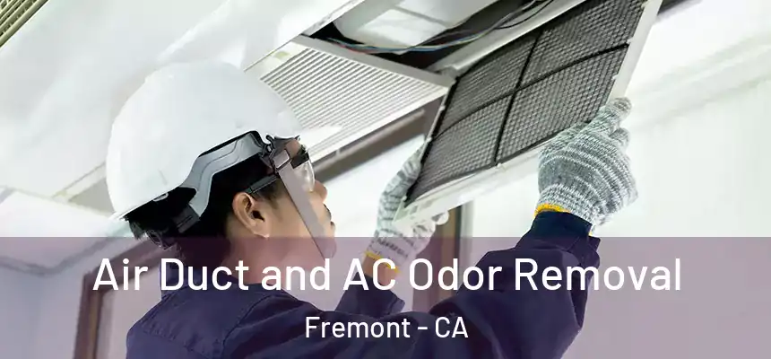 Air Duct and AC Odor Removal Fremont - CA