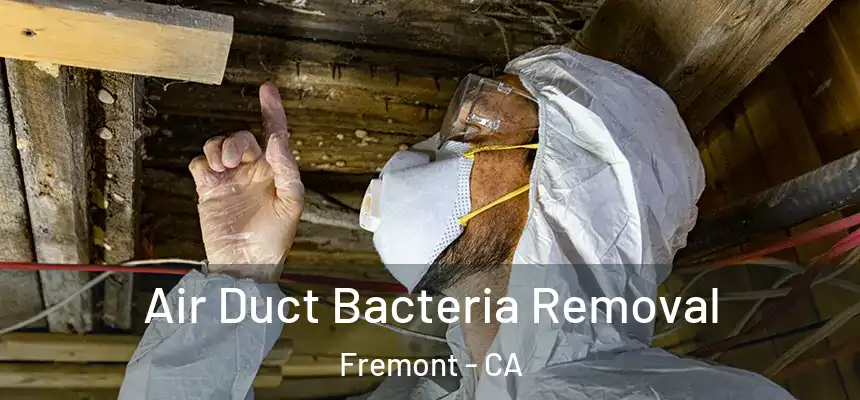  Air Duct Bacteria Removal Fremont - CA