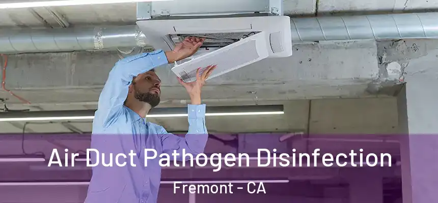  Air Duct Pathogen Disinfection Fremont - CA