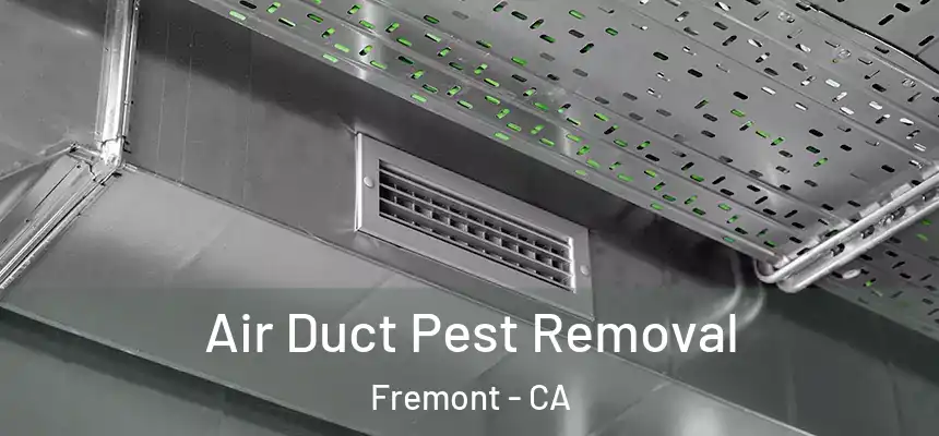 Air Duct Pest Removal Fremont - CA