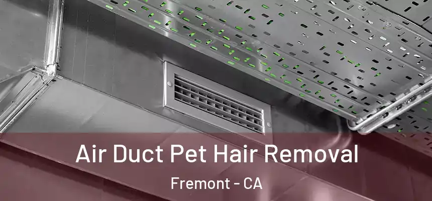 Air Duct Pet Hair Removal Fremont - CA