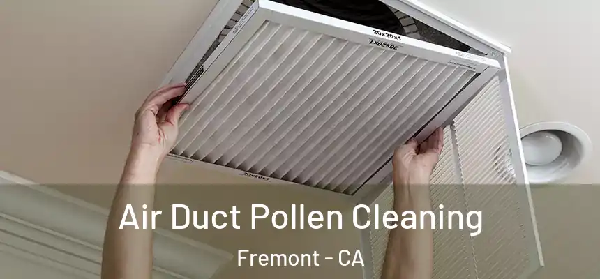 Air Duct Pollen Cleaning Fremont - CA
