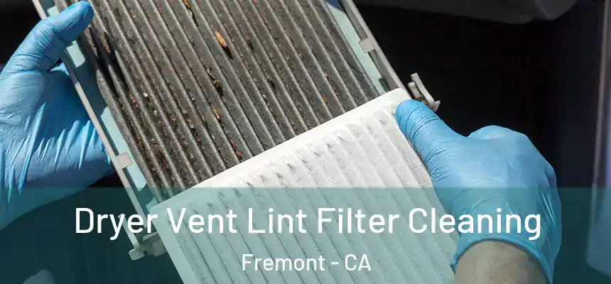 Dryer Vent Lint Filter Cleaning Fremont - CA