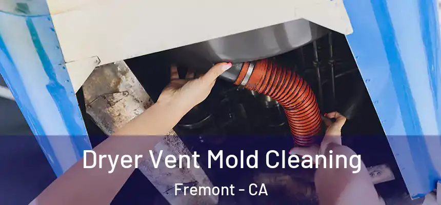 Dryer Vent Mold Cleaning Fremont - CA