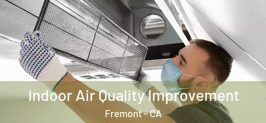 Indoor Air Quality Improvement Fremont - CA