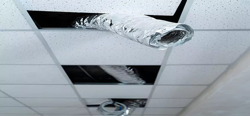 Our Air Duct Pet Hair Removal Services in Fremont, CA