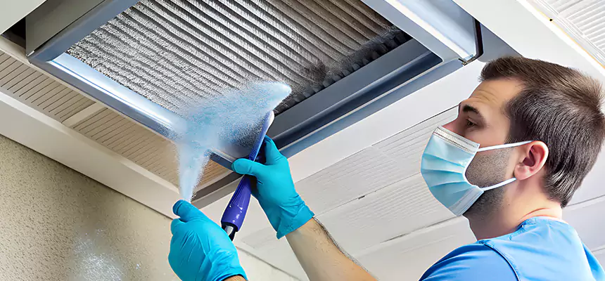 Proactive Dryer Vent & Auxiliary Duct Pollen Cleanup in Fremont, CA