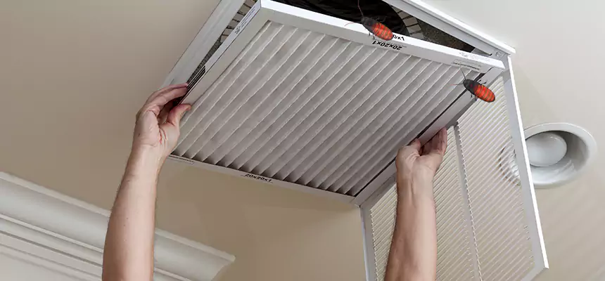 Our Insect Removal from Air Ducts Services in Fremont, CA