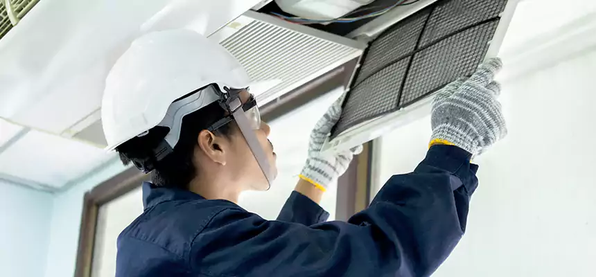 Our Mold & Mildew Removal from Air Ducts Services in Fremont, CA