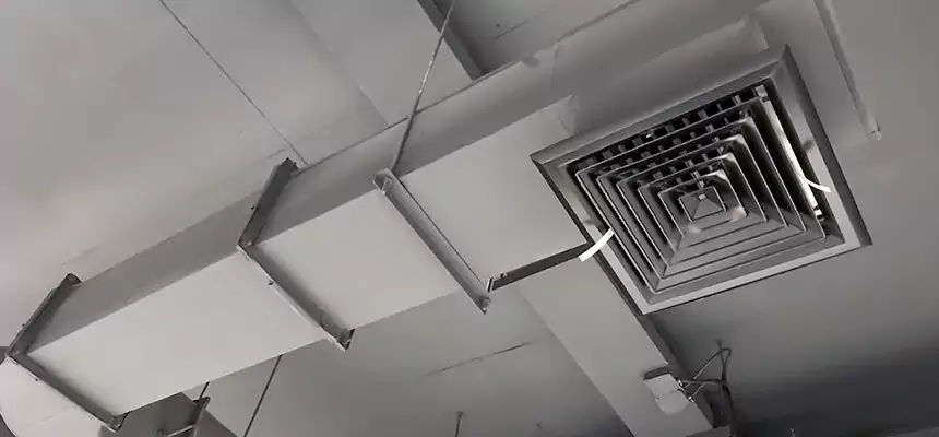 Our Pest Removal From Ducts Services in Fremont, CA