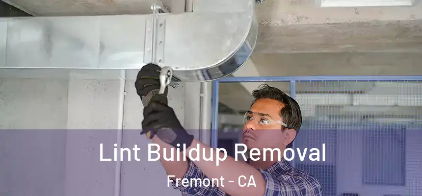 Lint Buildup Removal Fremont - CA