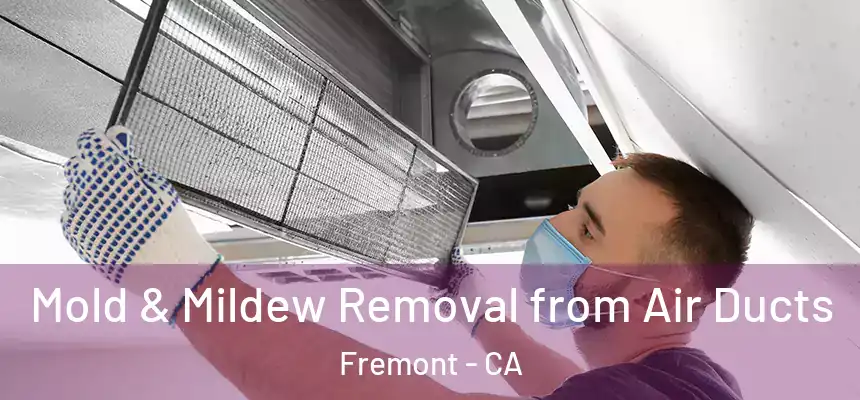 Mold & Mildew Removal from Air Ducts Fremont - CA