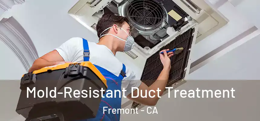 Mold-Resistant Duct Treatment Fremont - CA
