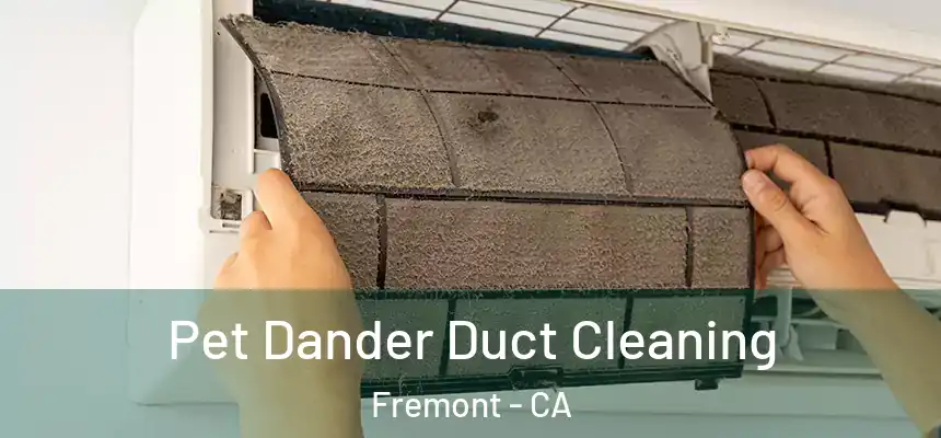 Pet Dander Duct Cleaning Fremont - CA