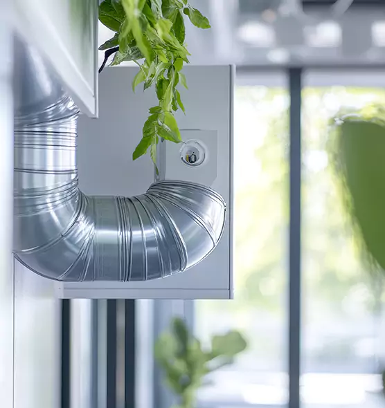 Professional Eco-Safe Dryer Vent Cleaning in Fremont, CA