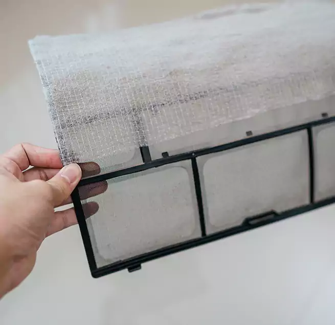 Why Homeowners & Businesses Trust Us in Fremont, CA?