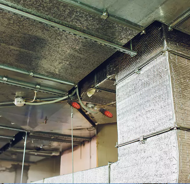 Why Homeowners & Businesses Trust Us Fremont, CA?