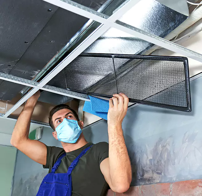 Why Homeowners Businesses Trust Us in Fremont, CA?